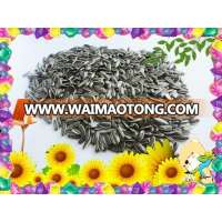 Export Sunflower Seeds