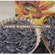 2014 Chinese new crop wholesale sunflower seeds