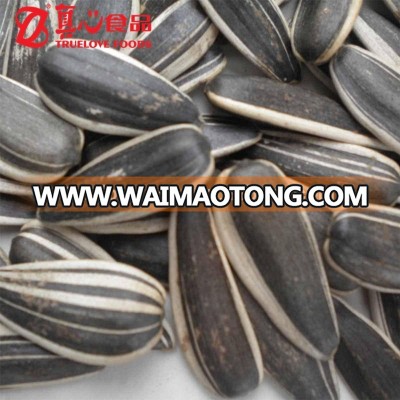 Raw Sunflower Seeds 5009 with good quality