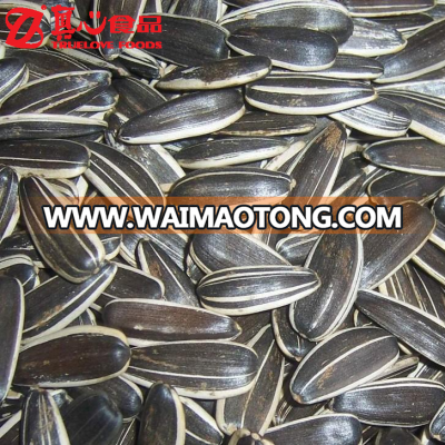 whole sale good quality Sunflower Seeds