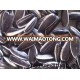 Chinese Sunflower Seeds 5009