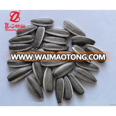 High quality Dried sunflower seeds for sale