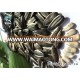 chinese sunflower seeds 363 from Inner Mongolia China