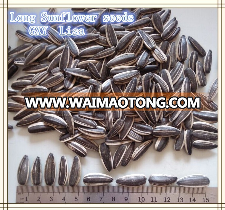 sunflower seeds from china